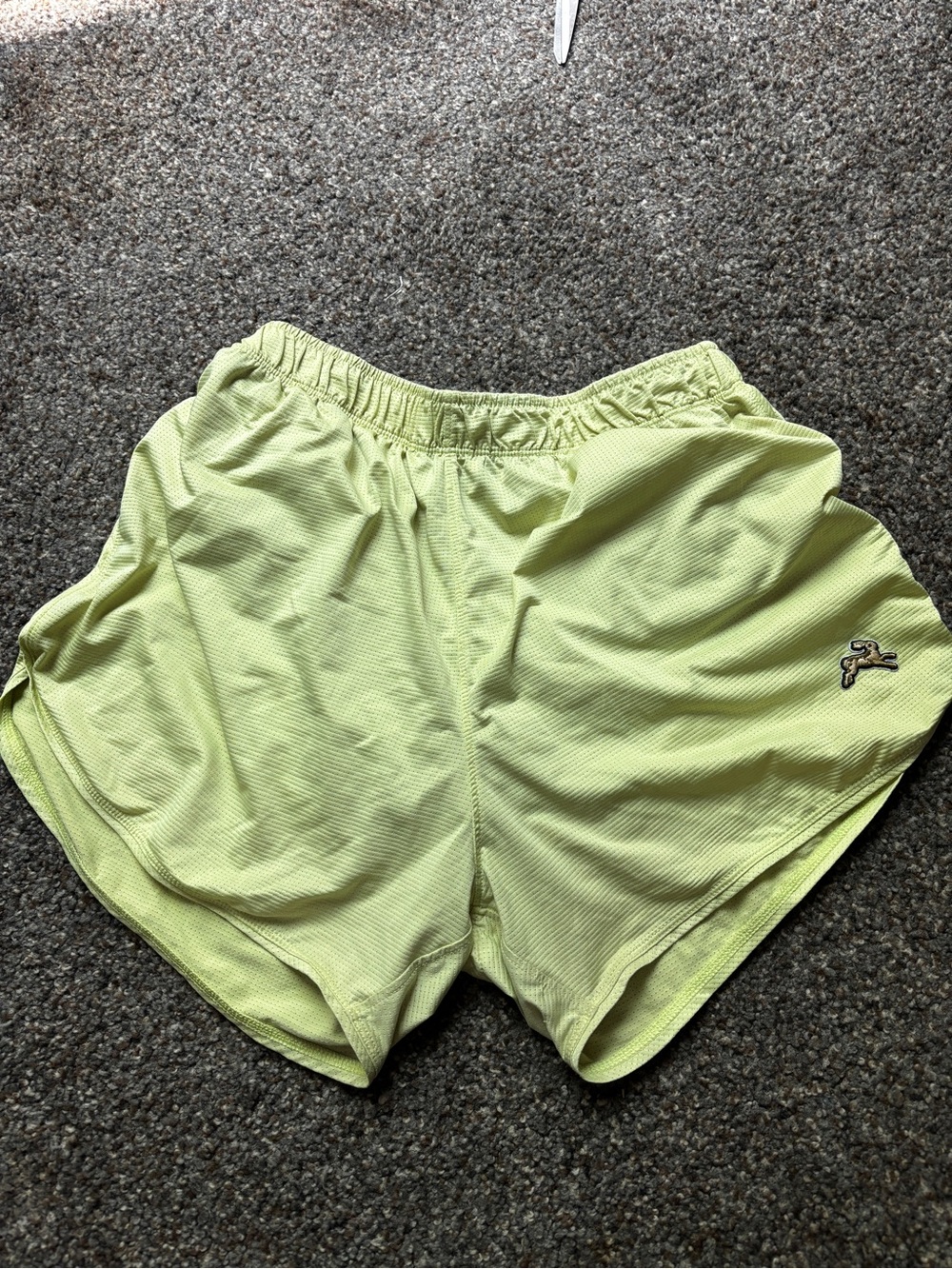 Tracksmith shorts